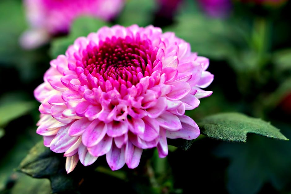 Bitcoin Düşüşü: 86.000 Dolara Kadar Gerileme ve Piyasa Analizi