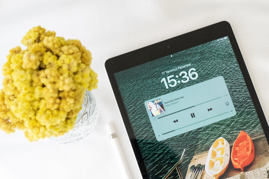 Amazon Music Yıl Sonu Özeti 2024: En Sevilen Şarkılar, Sanatçılar ve Podcast'ler