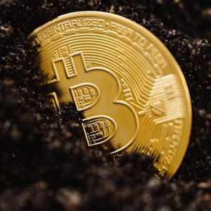 2025 Bitcoin Madenciliği: IREN Sektörü Ele Geçirdi