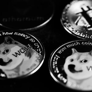 Dogecoin Fiyatı Düşüyor mu? 0.13 Dolar Seviyesi Analizi