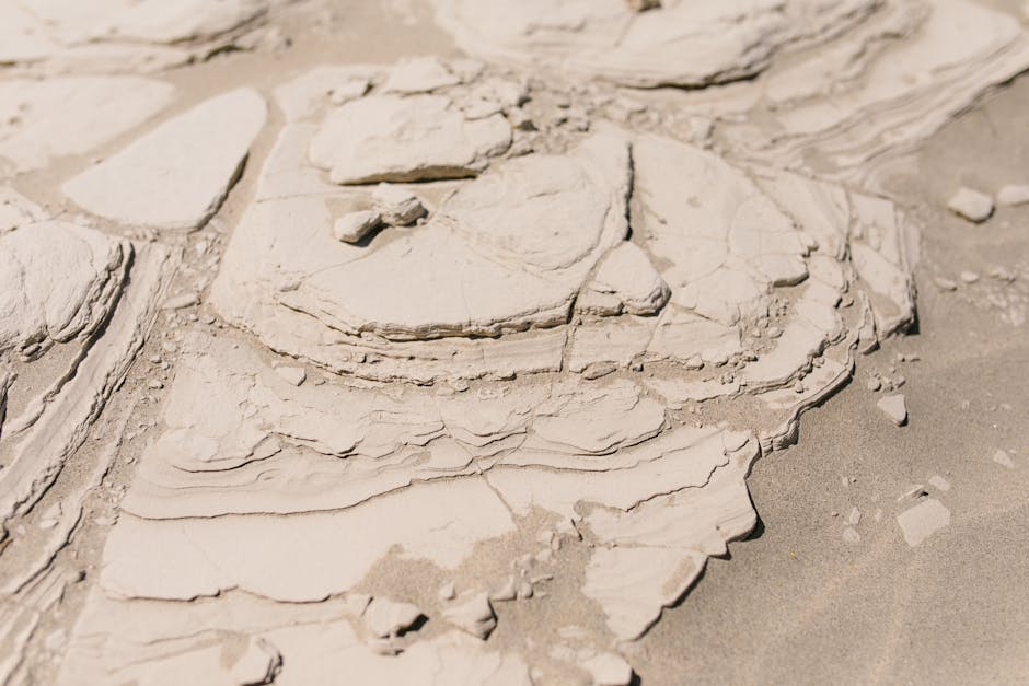 ZKsync Lite Kapanıyor: ZKsync Era'ya Odaklanma