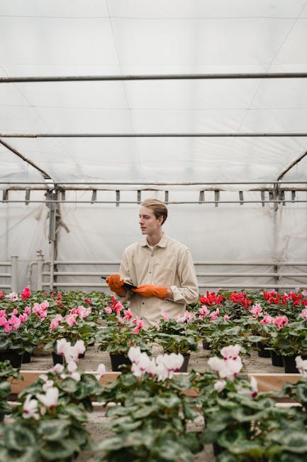 Amazon Lüksemburg'da İşten Çıkarma: 370 Çalışan Etkileniyor