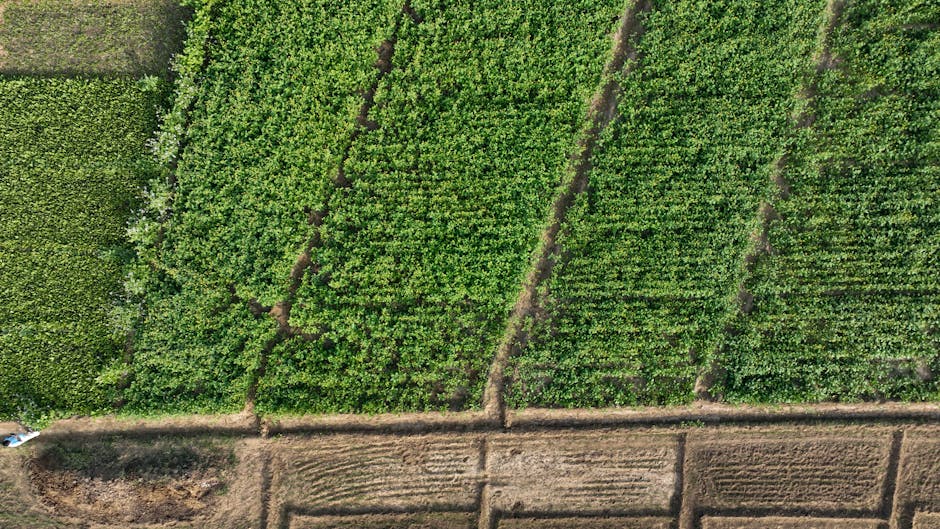 MicroStrategy Bitcoin Alımına Devam Ediyor: Fiyat Etkisi ve Analiz