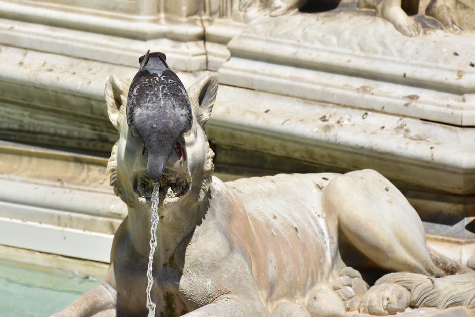 Animal Crossing: New Horizons Yeni Özellikler ve İpuçları