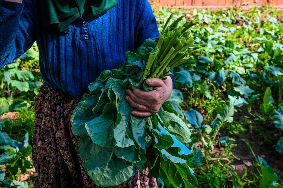 Bitcoin Fiyatı Yükselişte: 94.000 Doları Aştı!