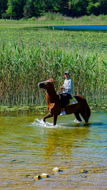 Crunchyroll İndirim Kampanyası: Anime Fırsatı!