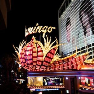 Pudgy Penguins Las Vegas Sphere’i İşgal Ediyor! NFT Projesinden Büyük Adım