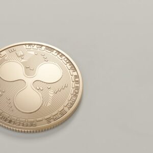 XRP Fiyatı Ne Kadar? EarnXRP ile XRP Getirisi ve Fiyat Analizi