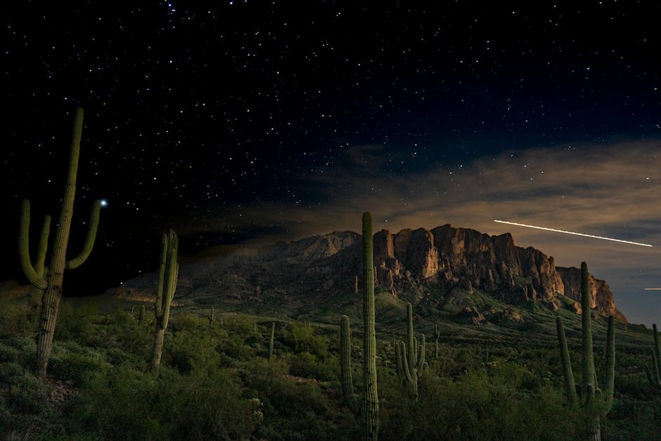 NASA Yeni Lideri Jared Isaacman: Gelecek Belirsiz mi?