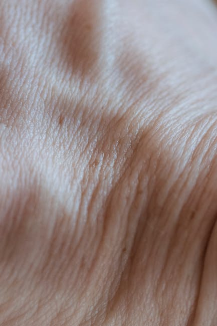 Withings Body Scan 2: Kapsamlı Sağlık Takibi ve Kalp Sağlığı Ölçümleri