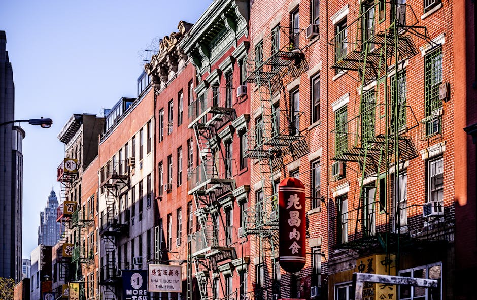 New York Çince Haber: Documented NYC - Göçmenler İçin Yerel Bilgiler