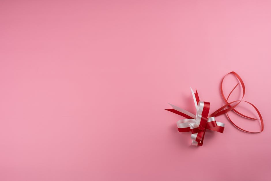 Dior ile "Wuthering Heights" Dokunuşu: Saç Tokaları Trendi