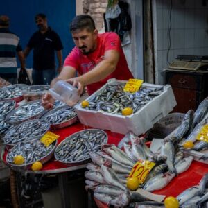DOGE Fiyatı Düşüşte: Nedenleri ve Gelecek Beklentisi