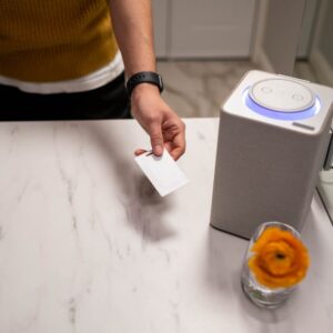 Wi-Fi Yok Akıllı Kontrol: Emerson SmartVoice Cihazları