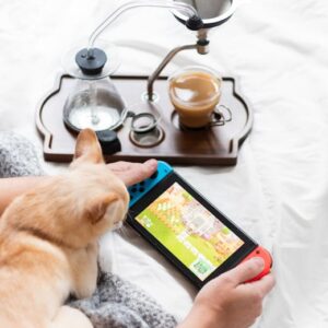 Animal Crossing 3.0 Güncellemesi: Yeni Özellikler ve Değişiklikler
