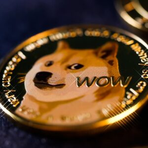 Dogecoin Fiyat Analizi: 0.0924 Direnci ve Yükseliş Hedefleri