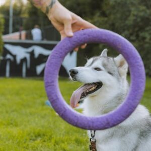 Ring Reklamı: Gözetim Teknolojisi ve Gizlilik Endişeleri