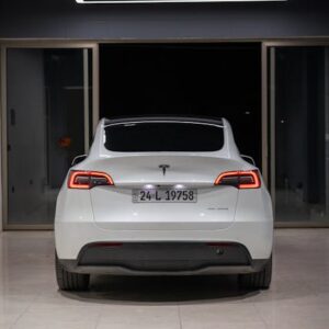 Tesla Elektrikli Kapı Kolu Dava: Güvenlik Riskleri ve Son Gelişmeler
