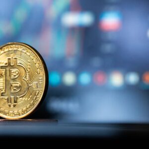Apollo Global Management, Morpho Token Yatırımı Yapıyor: DeFi’ye Büyük Destek