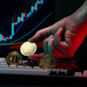 Kraken Halka Arzı Askıya Alındı: Kripto Piyasası Durumu