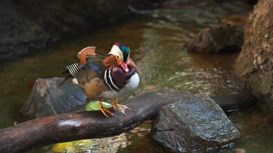 Bitcoin Fiyatı: Merkez Bankası Kararları ve Yatırım Fırsatları
