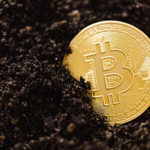 Cango Bitcoin Satışı: AI Yatırımı ve Piyasa Etkisi